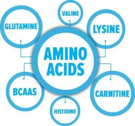 Amino Acid Fitness Supplement