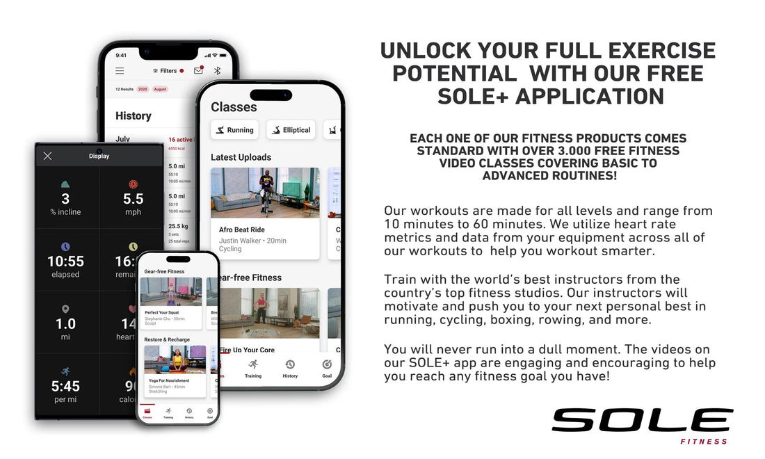 SR300 Air/Magnetic Rowing Machine